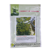 Hectarul - Seminte de marar comun, 50 grame